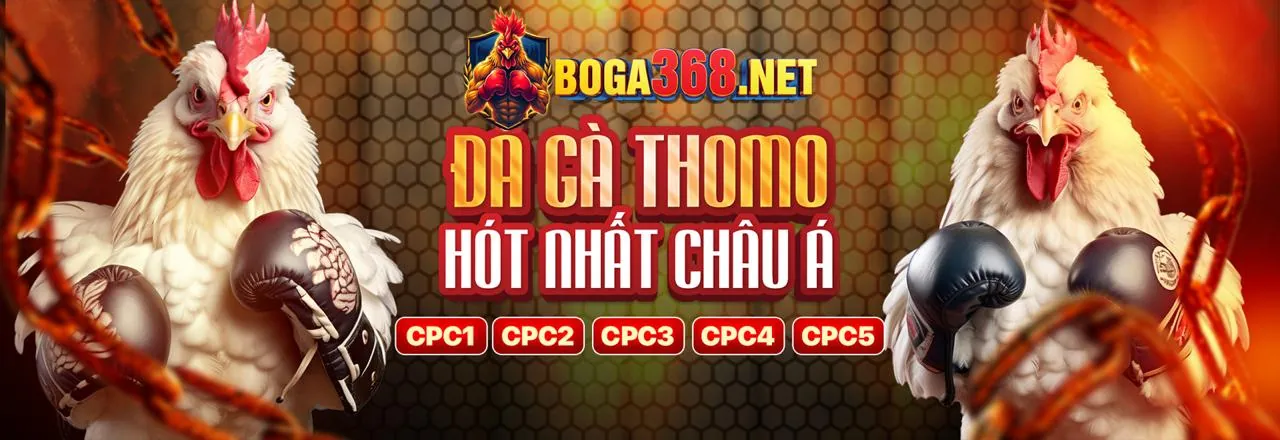 Khuyến mãi đá gà Thomo hấp dẫn