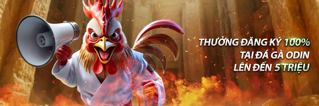 Tin tức đá gà Thomo mới nhất với các trận đấu đỉnh cao và phân tích chuyên sâu