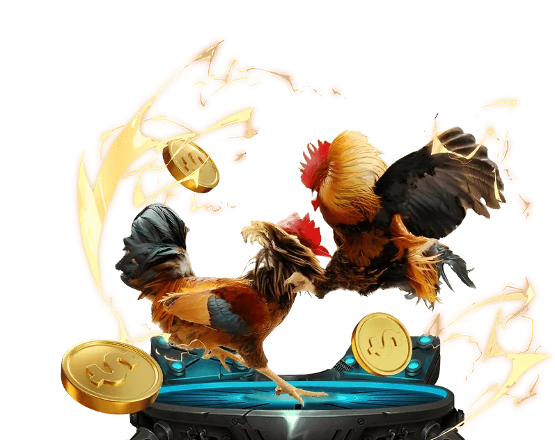 Hướng dẫn chọn trang cá cược đá gà Thomo tốt nhất